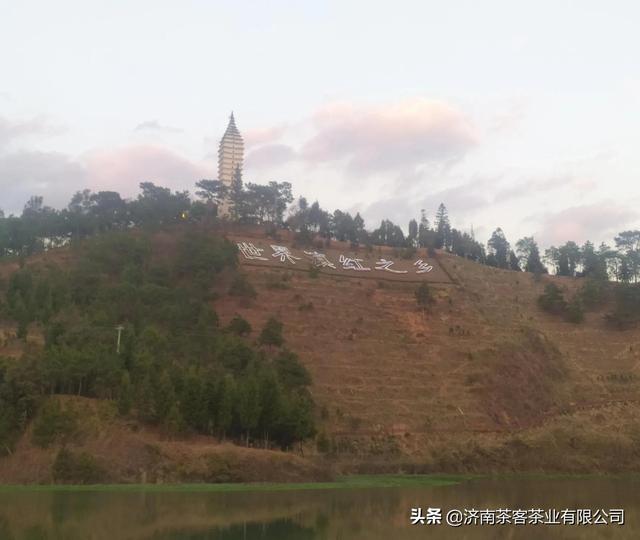 批發(fā)茶葉去哪里拿貨好呢，批發(fā)茶葉去哪里拿貨好賣？