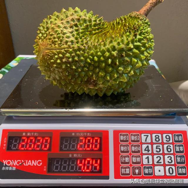 泰國(guó)榴蓮批發(fā)市場(chǎng)進(jìn)貨渠道官網(wǎng)，泰國(guó)榴蓮批發(fā)市場(chǎng)進(jìn)貨渠道在哪？