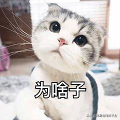 花店鮮花進(jìn)貨渠道有哪些，花店鮮花進(jìn)貨渠道有哪些問題？