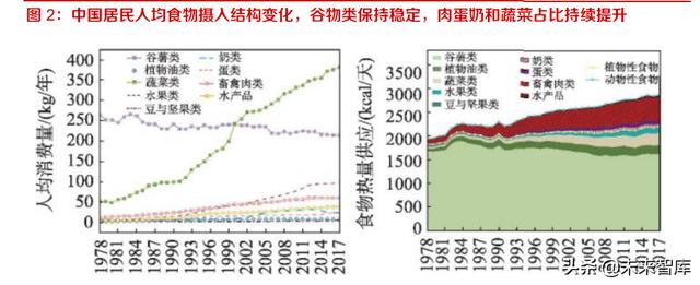 長(zhǎng)沙凍貨批發(fā)市場(chǎng)進(jìn)貨渠道，長(zhǎng)沙凍貨批發(fā)市場(chǎng)進(jìn)貨渠道有哪些？