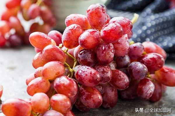 水果進貨渠道怎么找供貨商，水果店進貨渠道有哪些？