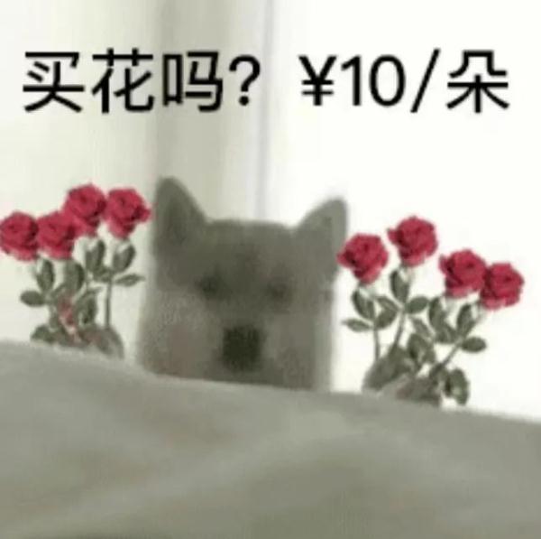 廣州的花卉批發(fā)市場，廣州哪里批發(fā)花卉市場？