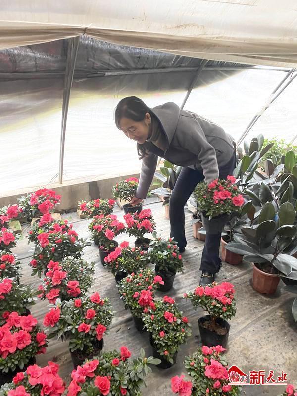 北京批發(fā)花卉去哪里進(jìn)貨，北京批發(fā)花卉去哪里進(jìn)貨便宜？