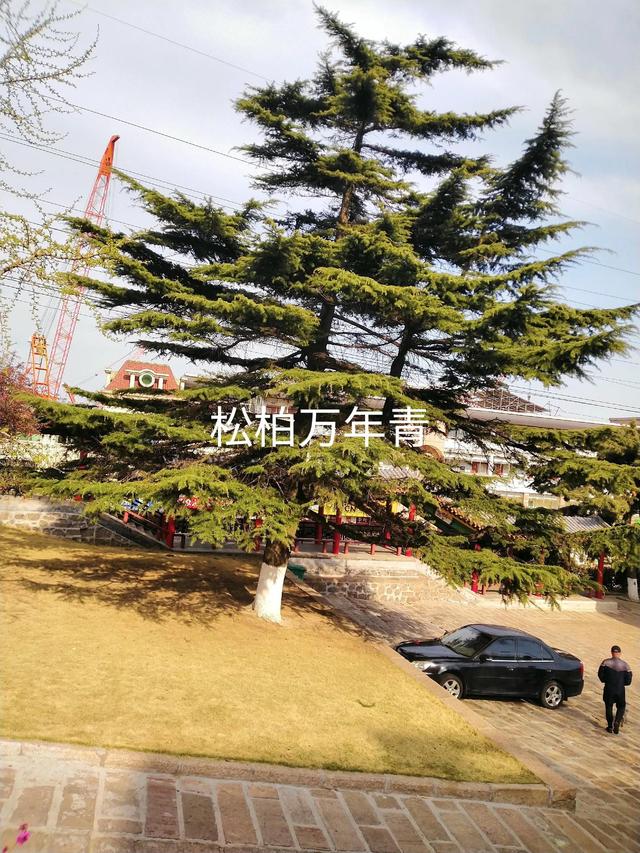 貨運代理合同模板，化妝品代理合同模板？