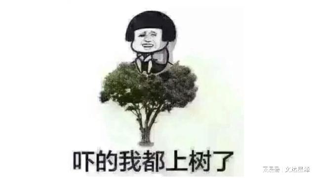 兼職會計和代賬公司，你們的2022年注定與眾不同