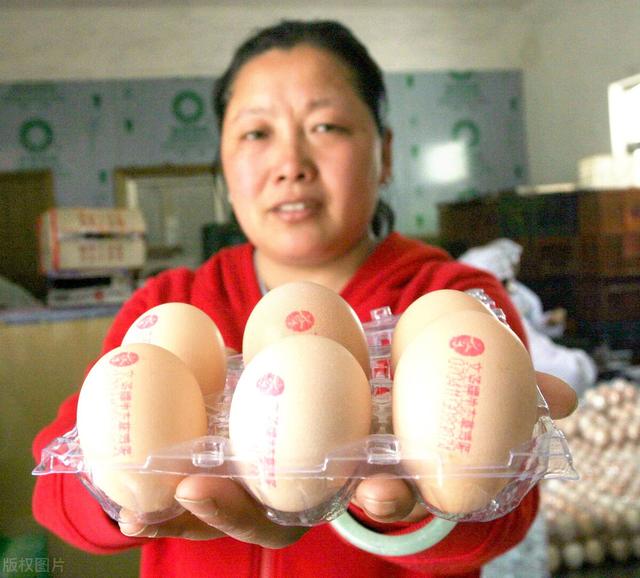 如何找到做鴨的渠道，想當(dāng)鴨子有什么途徑？