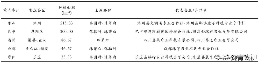 魔芋的銷售渠道有哪些，魔芋的銷售渠道有哪些呢？