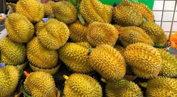 泰國榴蓮批發(fā)市場(chǎng)進(jìn)貨渠道官網(wǎng)，泰國榴蓮批發(fā)市場(chǎng)進(jìn)貨渠道在哪？