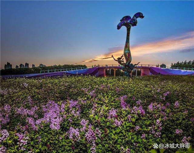 哈爾濱鮮花批發(fā)市場哪里最便宜，哈爾濱鮮花批發(fā)市場哪里最便宜又好？