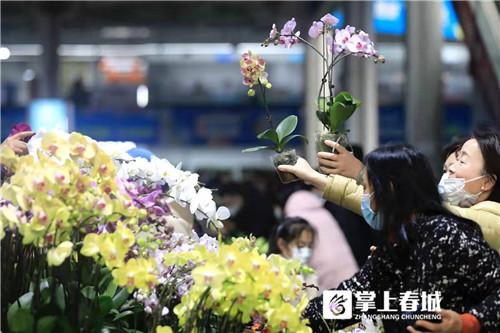 昆明鮮花批發(fā)市場地址個(gè)區(qū)，昆明鮮花批發(fā)市場地址在哪里怎么坐車去？