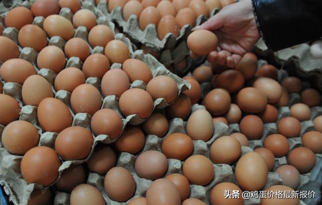 重慶雞蛋批發(fā)哪里最便宜，重慶雞蛋批發(fā)哪里最便宜的？