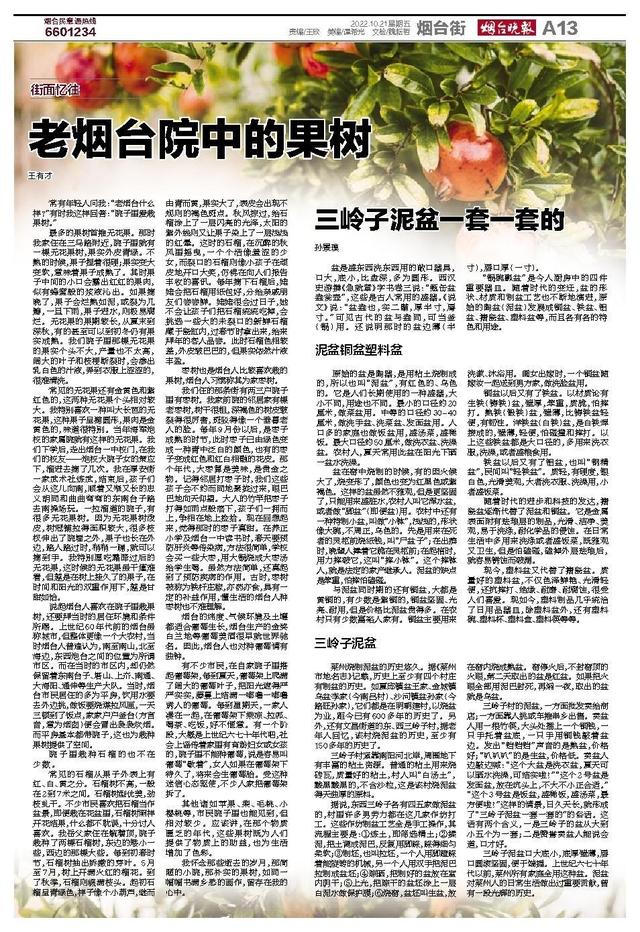 花盆批發(fā)哪里最便宜，盆栽花卉基地批發(fā)哪里最便宜？