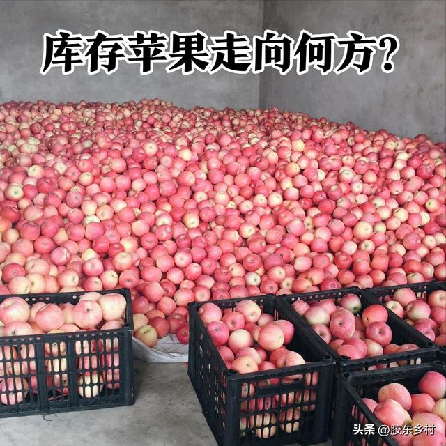 蘋果批發(fā)哪里最便宜的地方，蘋果批發(fā)哪里最便宜的地方在哪里？