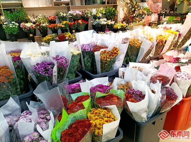 批發(fā)鮮花去哪里進(jìn)貨固鎮(zhèn)，批發(fā)鮮花去哪里進(jìn)貨花奔生產(chǎn)基地在哪里？