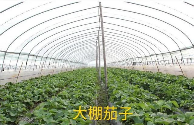 齊齊哈爾批發(fā)衣服在哪里進貨便宜，齊齊哈爾批發(fā)衣服的地方？