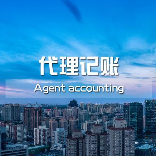 代理記賬的業(yè)務(wù)范圍如何，代理記賬的業(yè)務(wù)范圍如何寫(xiě)？