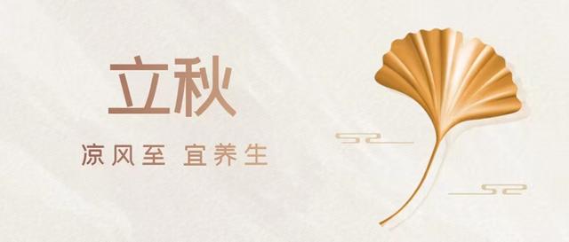 美思康宸阿膠是什么牌子阿膠，美思康宸阿膠總代理價(jià)格？