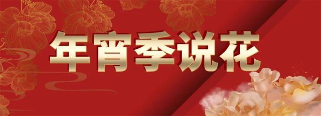 昆明蔬菜種子批發(fā)市場在哪里，無錫種子批發(fā)市場在哪里？