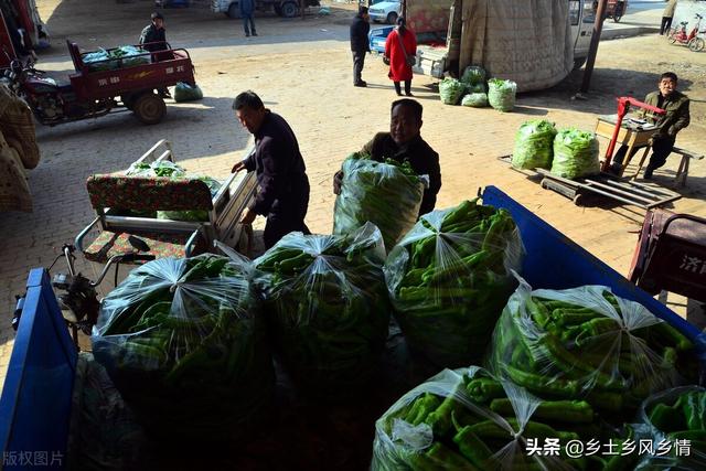 市場(chǎng)賣青菜一天賺多少錢合適，菜市場(chǎng)賣青菜一年能賺多少錢？
