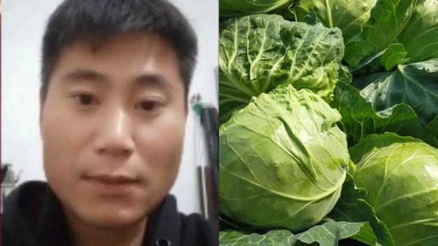 想做蔬菜批發(fā)怎么找貨源，找批發(fā)蔬菜貨源怎么找？