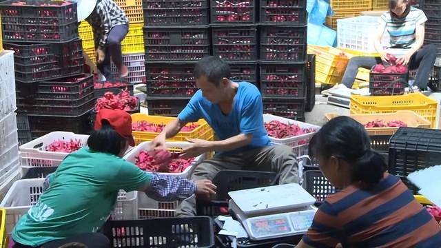 電商水果貨源，微商貨源果客邦水果貨源平臺？