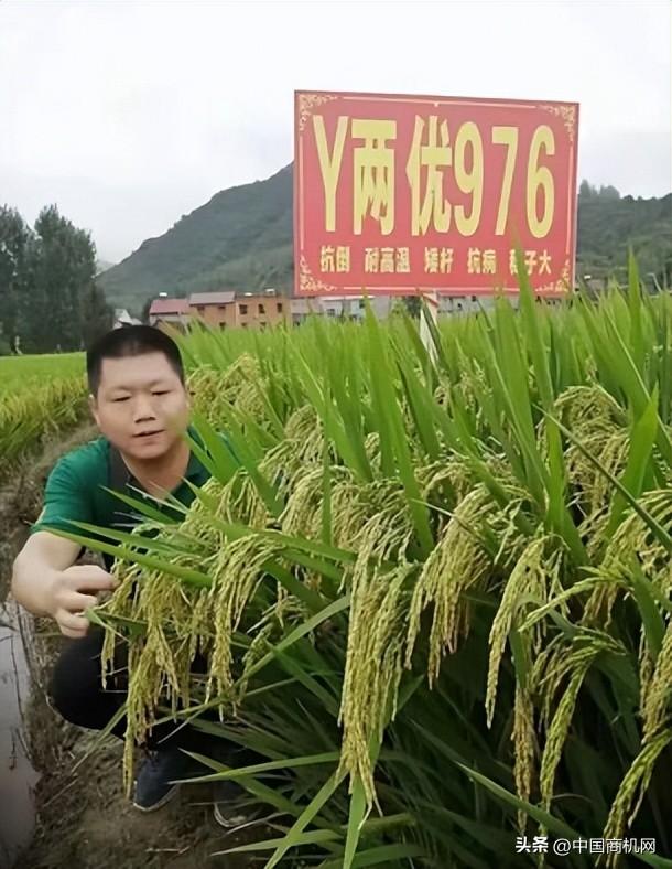 各種貨源批發(fā)網(wǎng)，買賣貨源網(wǎng)？