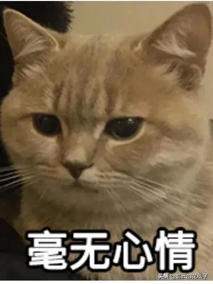 鄭州無貨源淘寶培訓(xùn)中心，鄭州無貨源淘寶培訓(xùn)中心地址？