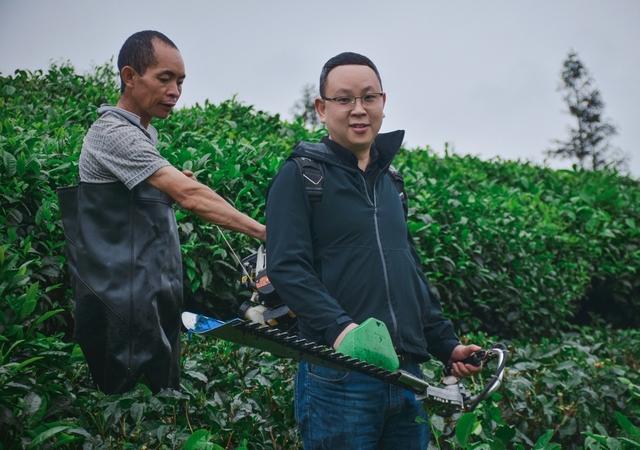 淘寶賣茶葉貨源哪里找，淘寶賣茶葉貨源哪里找的？