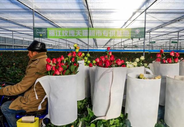 天貓超市的貨源供應(yīng)商是什么，天貓超市的貨源供應(yīng)商是什么意思？