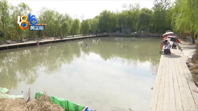 淘寶海帶路亞是正品嗎，淘寶上的貨源？