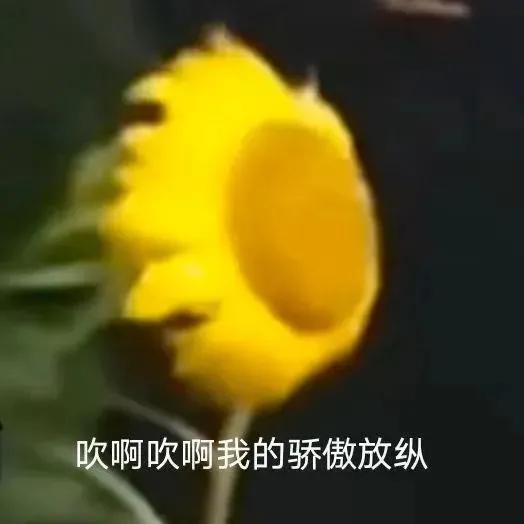 淘寶網(wǎng)店漢服貨源哪里找到，開漢服網(wǎng)店的貨源哪里來？