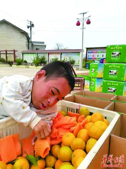 農(nóng)產(chǎn)品土特產(chǎn)_代理廠家，特產(chǎn)代理網(wǎng)？