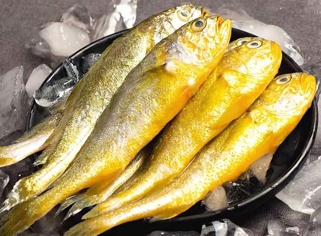 冰凍小黃魚批發(fā)價，？