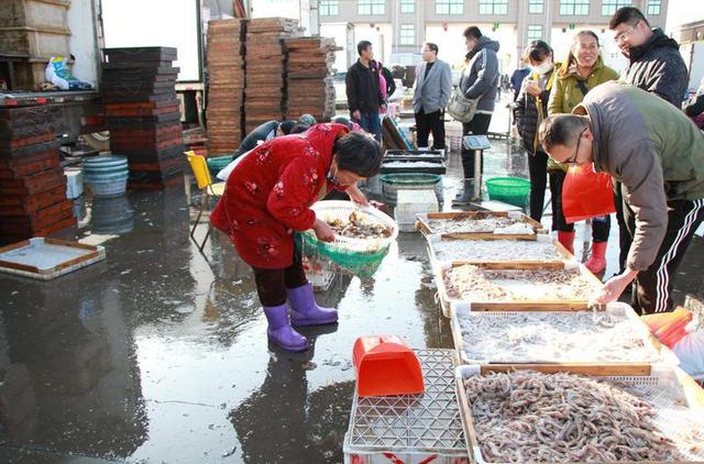 海鮮食品貨源批發(fā)網(wǎng)站有哪些，海鮮產(chǎn)品批發(fā)網(wǎng)站？