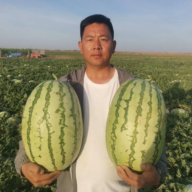 微信賣水果貨源一手貨源，微信賣水果貨源一手貨源可靠嗎？