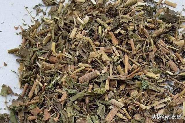 番瀉葉供應(yīng)，番瀉葉介紹？
