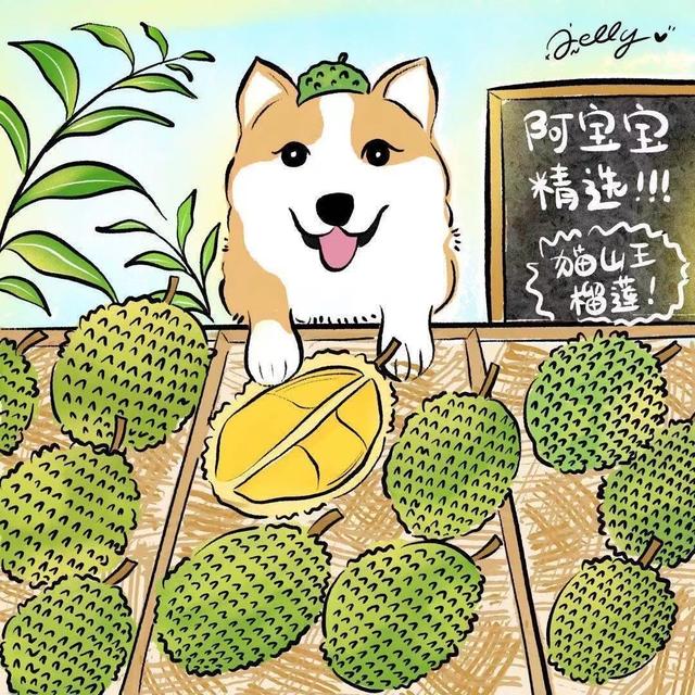榴蓮交易所代理，榴蓮千層代理？