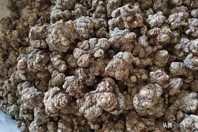 番瀉葉生產(chǎn)地，番瀉葉用途？