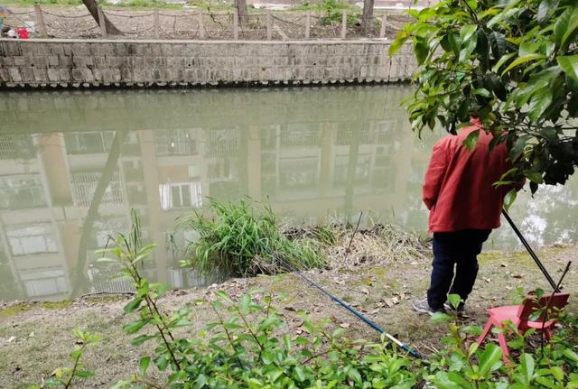 淘寶拼多多熱銷魚籠餌料貨源拿貨是真的嗎，淘寶拼多多熱銷魚籠餌料貨源拿貨是真的嗎可信嗎？