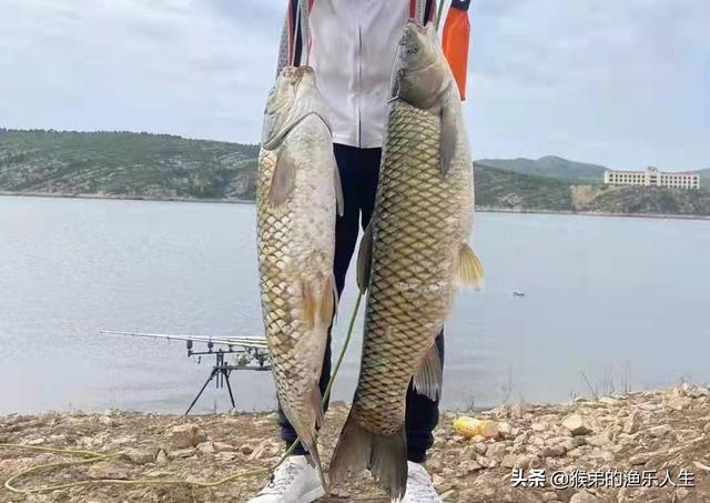 德州釣組釣法，德州釣組控餌手法？