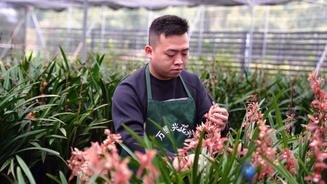 淘寶拼多多熱銷朝蘭貨源拿貨是真的嗎，淘寶拼多多熱銷朝蘭貨源拿貨是真的嗎安全嗎？