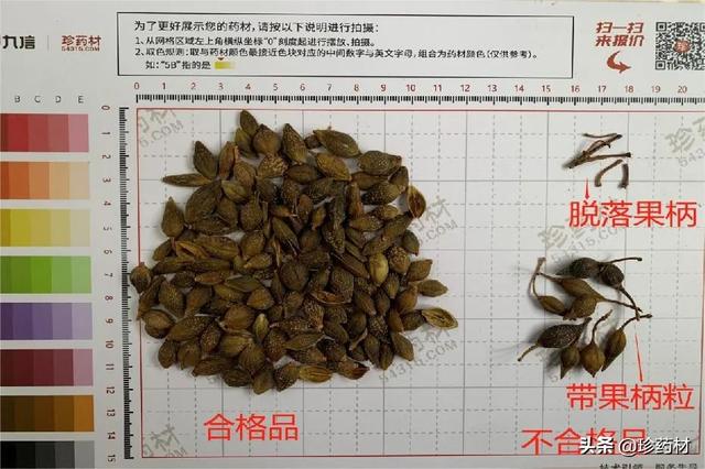 夏橙批發(fā)價(jià)格，夏橙批發(fā)價(jià)格多少？