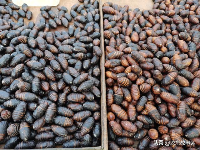 膠東見(jiàn)聞過(guò)年吃的“蛹”，你家已經(jīng)準(zhǔn)備好了么？