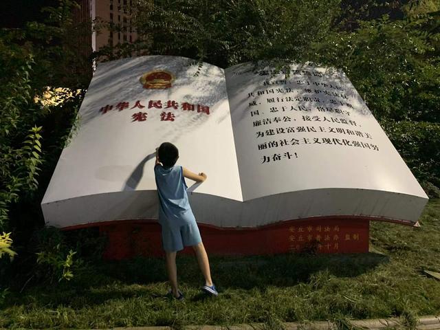 淘寶拼多多熱銷餃子托盤貨源拿貨是真的嗎，淘寶拼多多熱銷餃子托盤貨源拿貨是真的嗎安全嗎？