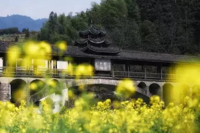 無(wú)貨源電商運(yùn)營(yíng)模式，無(wú)貨源電商運(yùn)營(yíng)模式有哪些？