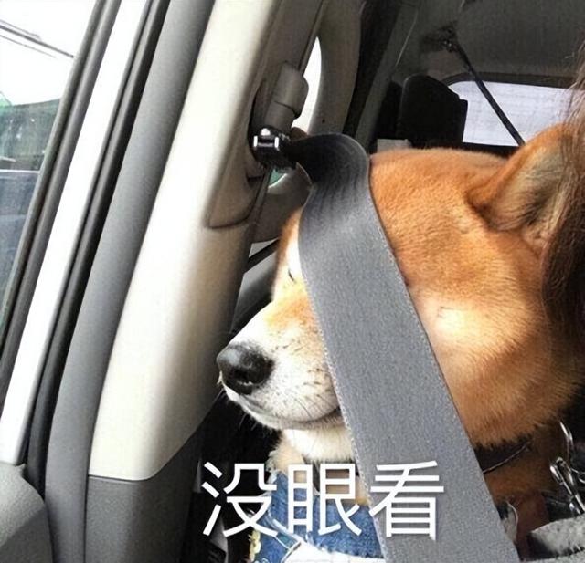 淘寶dw手表是真的嗎，微商dw手表二百多？