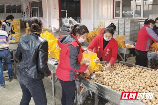 擺地攤貨源批發(fā)網(wǎng)站，擺地攤找貨源網(wǎng)站？