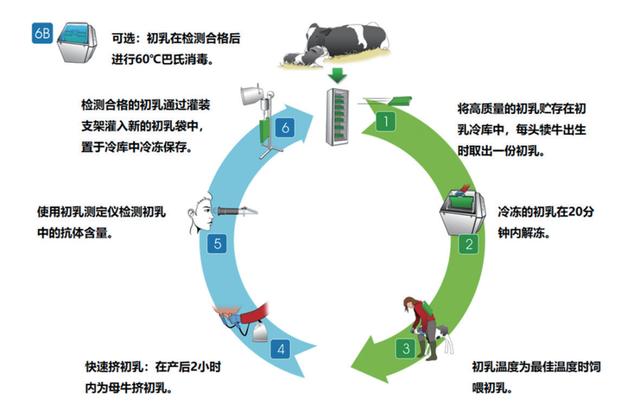 淘寶拼多多熱銷犢牛服貨源拿貨是真的嗎可信嗎，淘寶上賣牛犢是真的嗎？