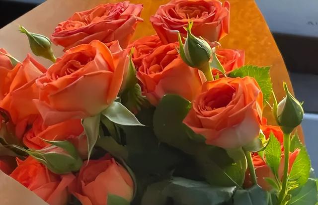 鮮花貨源在線批發(fā)采購(gòu)平臺(tái)，鮮花貨源在線批發(fā)采購(gòu)平臺(tái)有哪些？