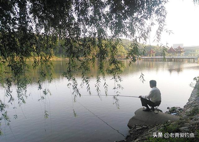 淘寶拼多多熱銷魚籠批發(fā)貨源拿貨是真的嗎，淘寶拼多多熱銷魚籠批發(fā)貨源拿貨是真的嗎安全嗎？